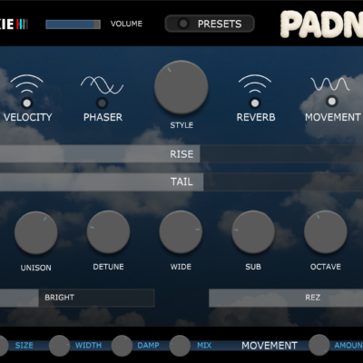 Padness - Special Offer